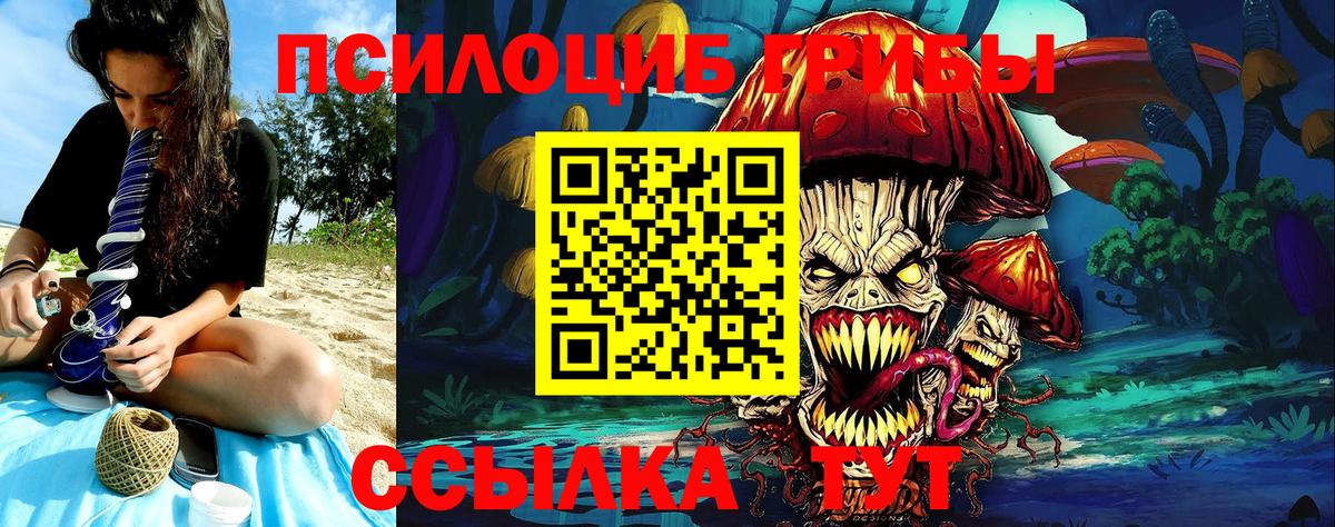 Галлюциногенные грибы GOLDEN TEACHER  Псилоцибиновые грибы ЛСД  Тайшет  Вход с VPN 